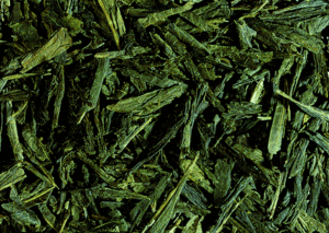 Bancha