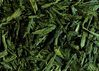 Bancha