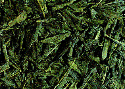 Bancha
