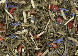 Sencha Berry Burst