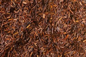 Rooibos
