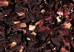 Hibiscus